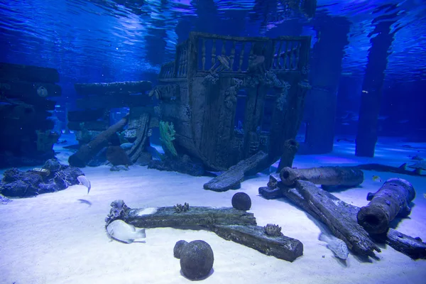 Underwater panorama with fishes and ship — Stock Photo, Image