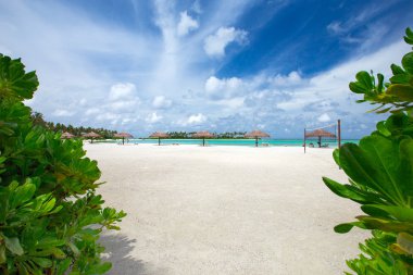 Maldivler 'deki tropik plaj 