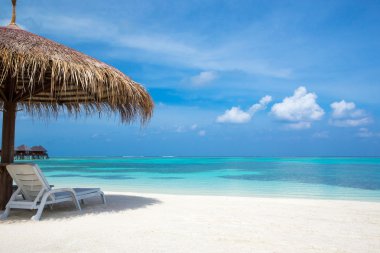 Maldivler 'deki tropik plaj