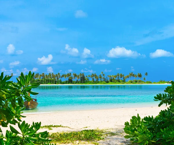 Spiaggia tropicale alle Maldive — Foto Stock