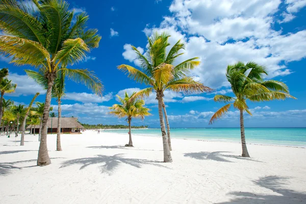 Spiaggia e mare tropicale — Foto Stock