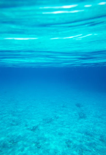 Tranquille scène sous-marine — Photo