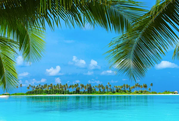 Spiaggia tropicale alle Maldive — Foto Stock