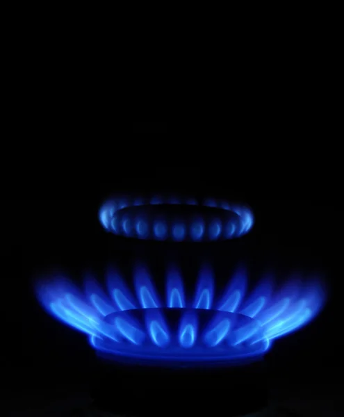 Blaue Flammen eines Gasherdes — Stockfoto