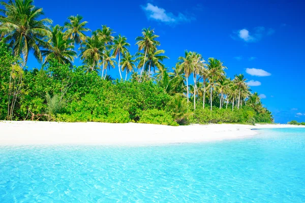 Tropisch strand op de Malediven — Stockfoto