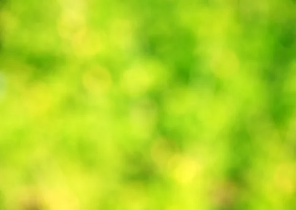 Grüne Bokeh abstrakten Hintergrund — Stockfoto
