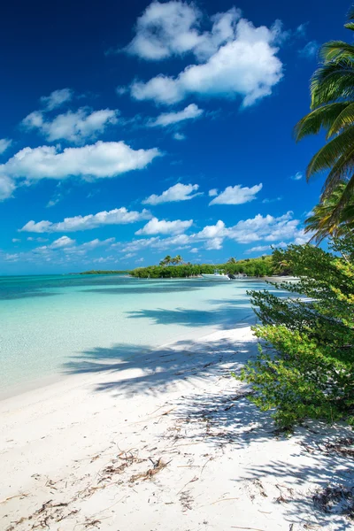 Plage et mer tropicale — Photo