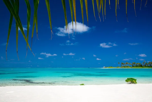 Τροπική παραλία στις Μαλδίβες — Φωτογραφία Αρχείου