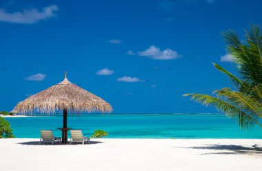 Maldivler 'deki tropik plaj 
