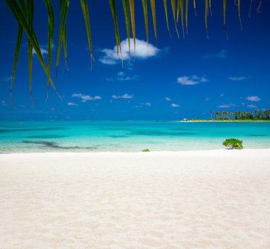 Maldivler 'deki tropik plaj