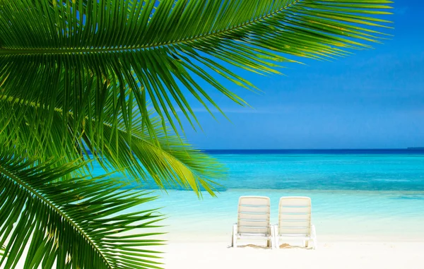 Tropisch strand op de Malediven — Stockfoto