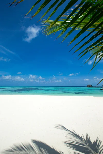 Spiaggia tropicale alle Maldive — Foto Stock