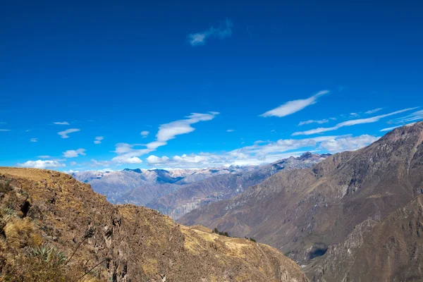 Kanyon Colca Peru — Stok fotoğraf