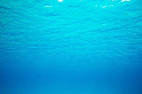 Tranquil underwater scene — Stock Photo, Image