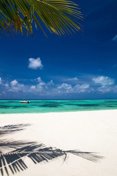 Playa tropical en Maldivas — Foto de Stock