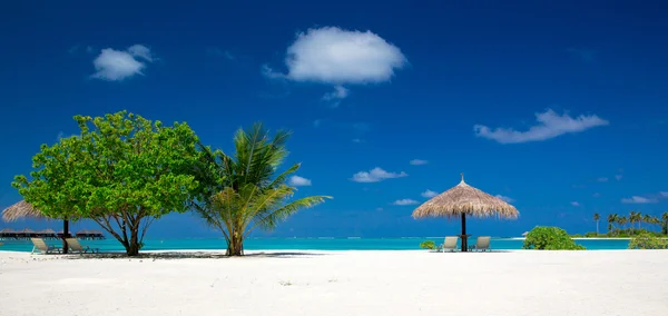 Tropisch strand op de Malediven — Stockfoto