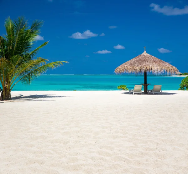 Tropical beach in Maldives — Stock Photo, Image