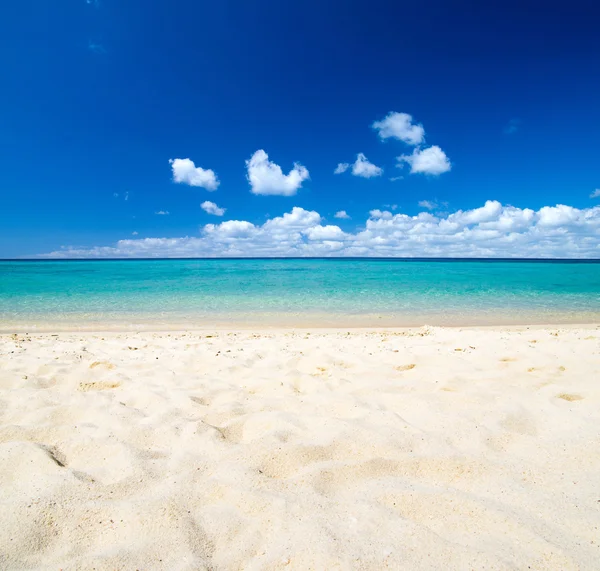 Plage et mer tropicale — Photo