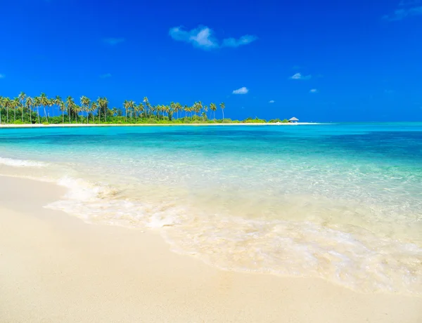 Tropisch strand op de Malediven — Stockfoto