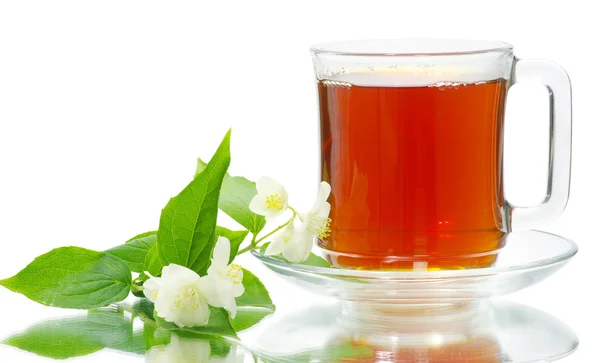 Cup of tea and jasmine sprig — Stock Photo, Image