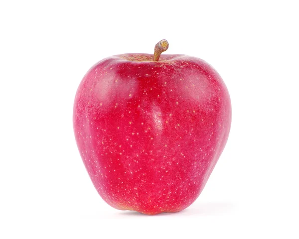 Verse rode appel geïsoleerd — Stockfoto
