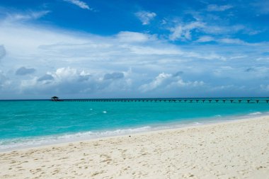 Beyaz kumlu sahili ve denizi olan tropik Maldivler adası