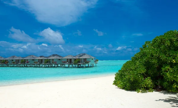 Tropical Maldives Island White Sandy Beach Sea — Stock Photo, Image