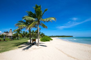 deniz ve sahil arkaplanı kopyalama alanı