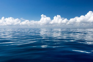 deniz ve sahil arkaplanı kopyalama alanı