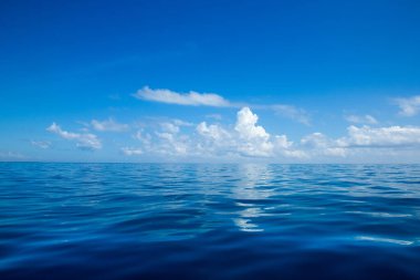 deniz ve sahil arkaplanı kopyalama alanı