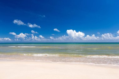 deniz ve sahil arkaplanı kopyalama alanı