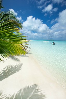 Beyaz kumlu sahili ve denizi olan tropik Maldivler adası