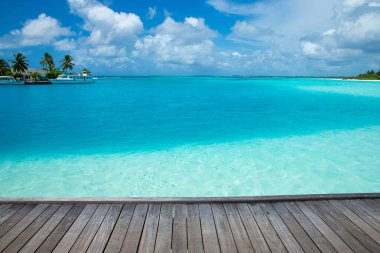 Beyaz kumlu sahili ve denizi olan tropik Maldivler adası