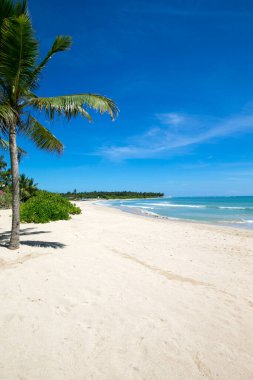 deniz ve sahil arkaplanı kopyalama alanı