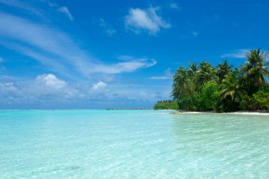 Beyaz kumlu sahili ve denizi olan tropik Maldivler adası