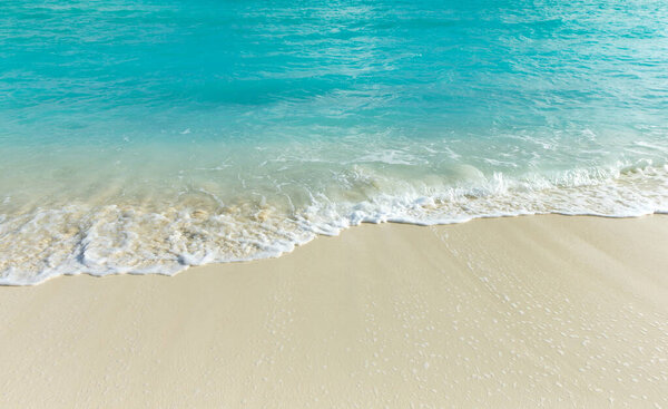 beach and tropical sea . nature background