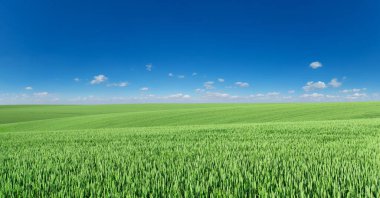 Mavi gökyüzünde panoramik kabarık bulut. Gökyüzü bulutlu güneşli bir günde.
