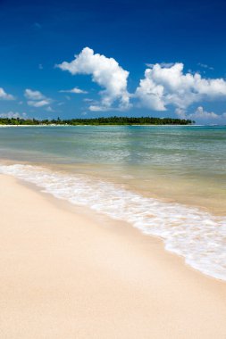 deniz ve sahil arkaplanı kopyalama alanı