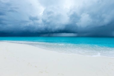 Beyaz kumlu sahili ve denizi olan tropik Maldivler adası