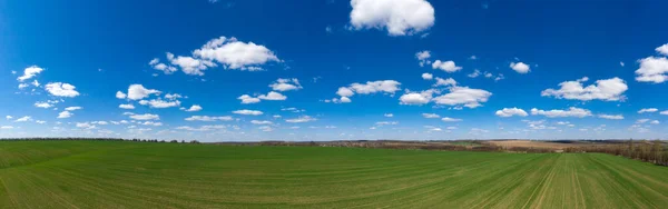 Panoramafeld Aus Gras Und Perfektem Himmel — Stockfoto