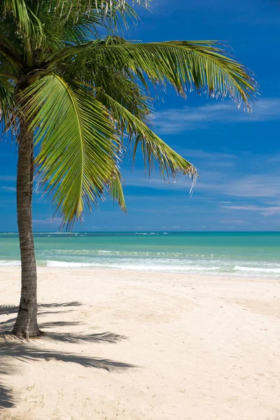 Hav Och Strand Bakgrund Med Kopia Utrymme — Stockfoto