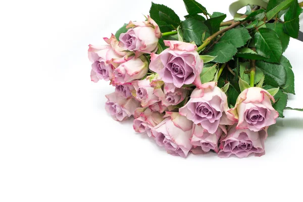 Rosas Cor Rosa Sobre Fundo Branco Passado Valentine Padrão Flores — Fotografia de Stock
