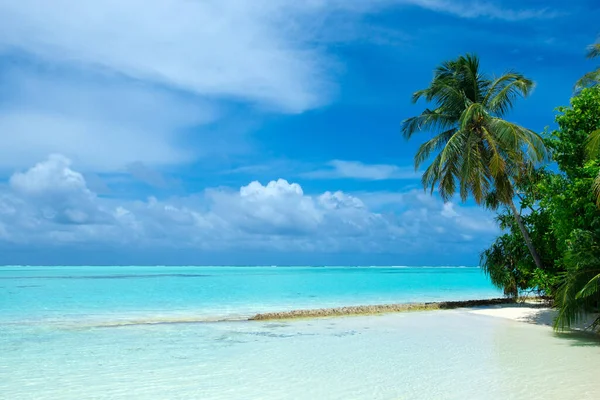 Τροπικές Μαλδίβες Λευκή Αμμουδιά Και Θάλασσα — Φωτογραφία Αρχείου