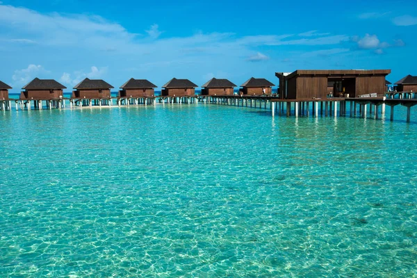 Чудовий Тропічний Мальдівський Острів Пляжем Море Водяними Бунгало — стокове фото
