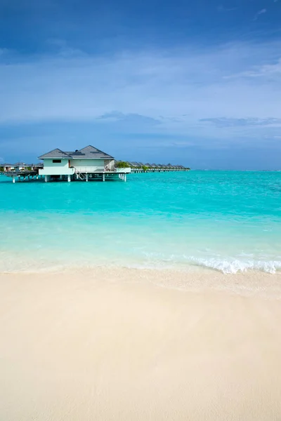 Île Tropicale Des Maldives Avec Plage Sable Blanc Mer — Photo