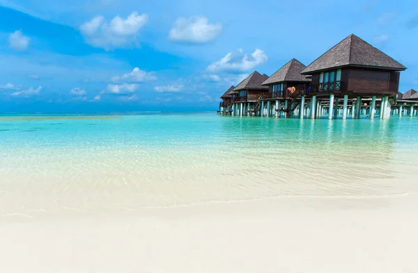 Spiaggia Tropicale Alle Maldive Con Poche Palme Laguna Blu — Foto Stock