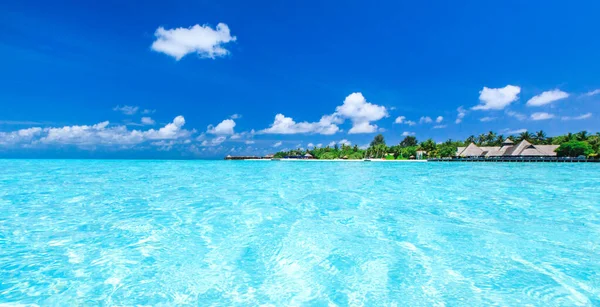 Playa Tropical Maldivas Con Pocas Palmeras Laguna Azul — Foto de Stock