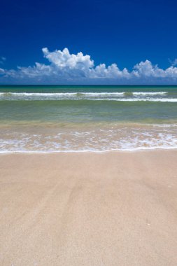 Güzel sahil ve tropikal deniz