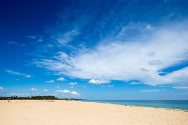 Güzel sahil ve tropikal deniz