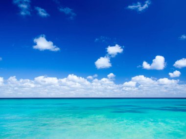 Plaj ve tropikal deniz. doğa arkaplanı